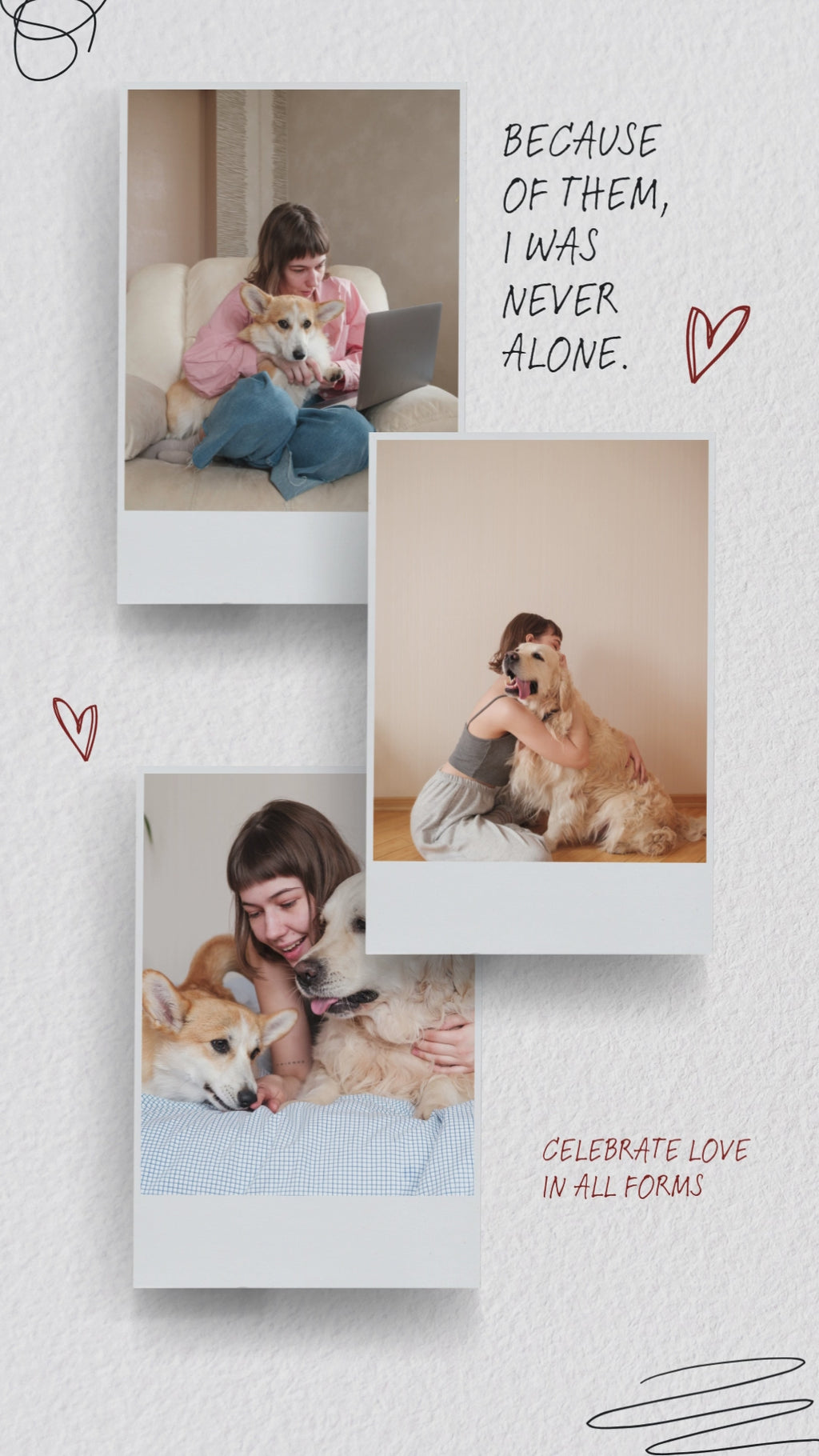 GreatJoyJoy’s Ultimate Dog Guide